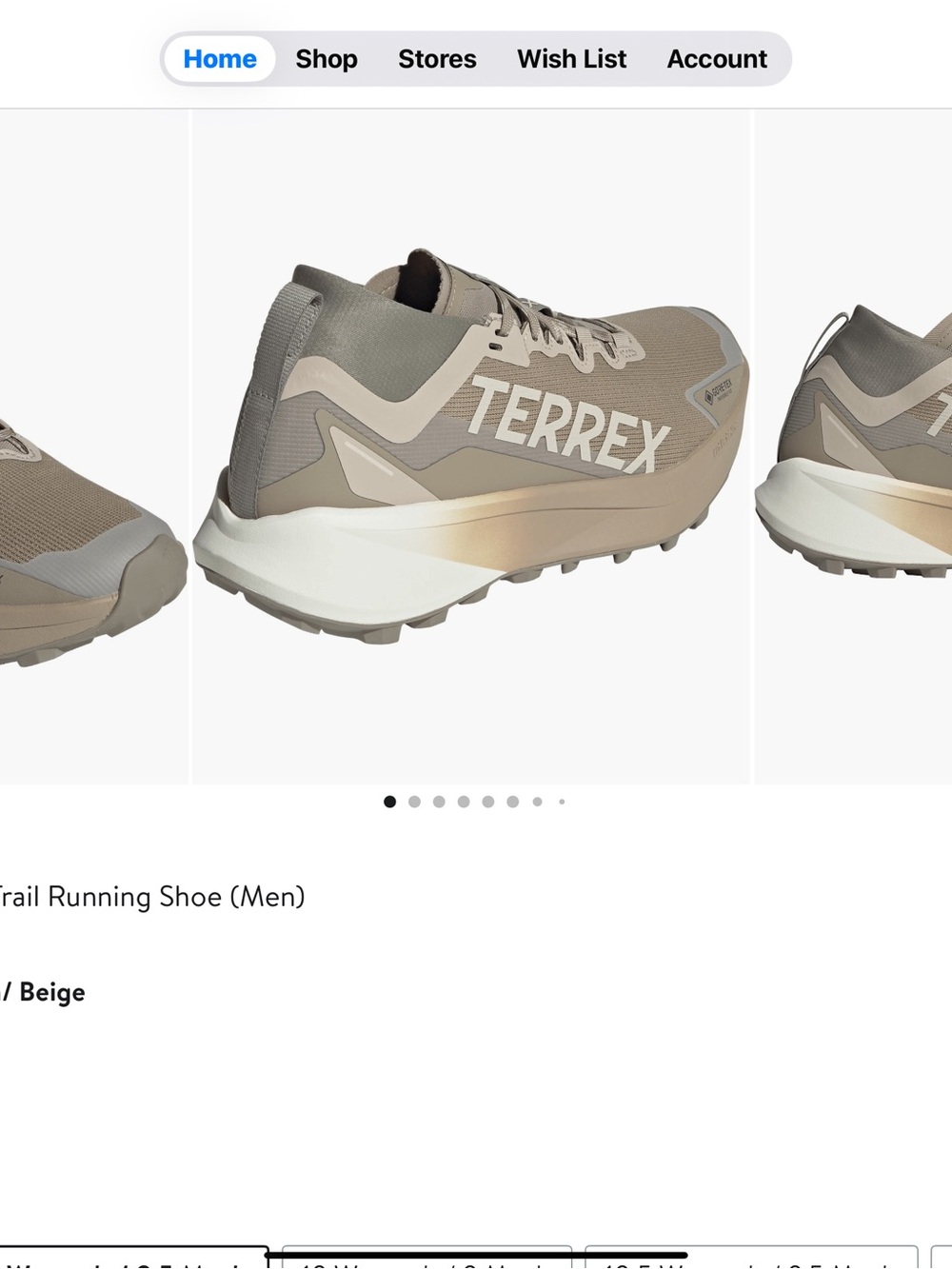 adidas Terrex Men's Trail Running Shoes — Beige and Gray
